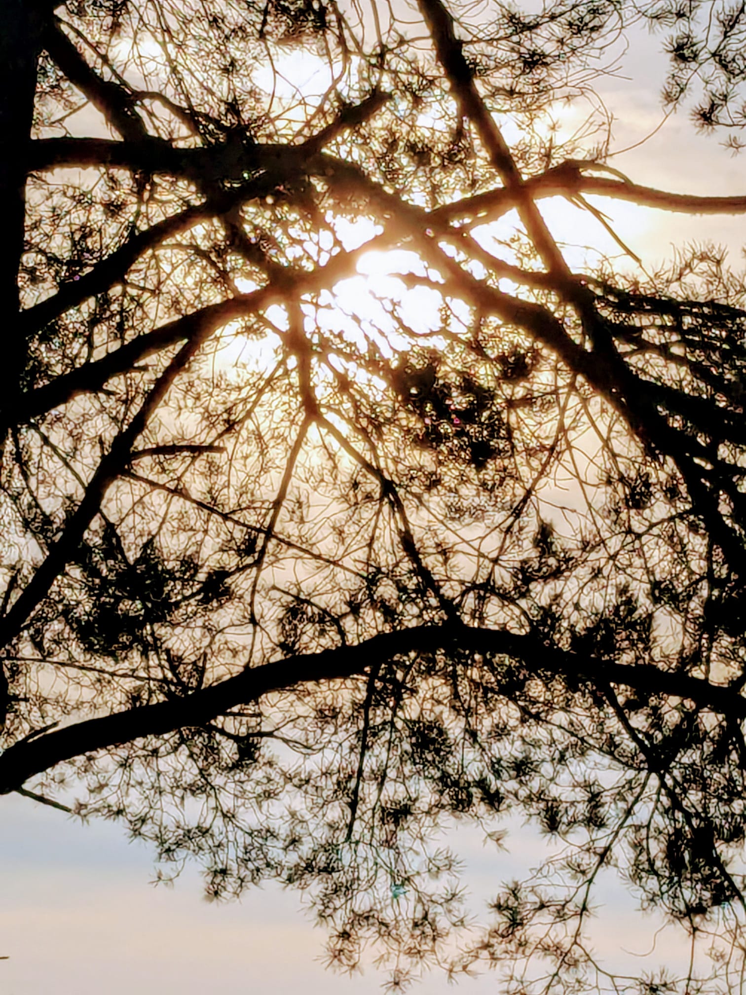 sophrologie,stress,burnout